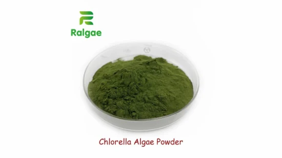 クロレラ粉末飼料グレードの天然藻類添加剤