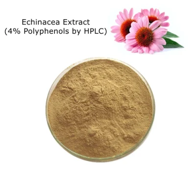 食品添加物としての 100% 天然エキナセア抽出物 (HPLC によるポリフェノール 4%)
