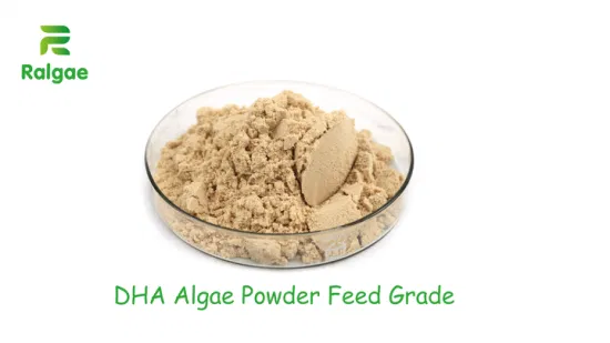 卵層飼料栄養添加剤増加卵 DHA 含有量天然 DHA アレージ粉末添加剤エンハンサー CAS6217